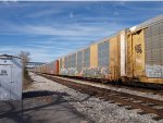 CTTX 692505